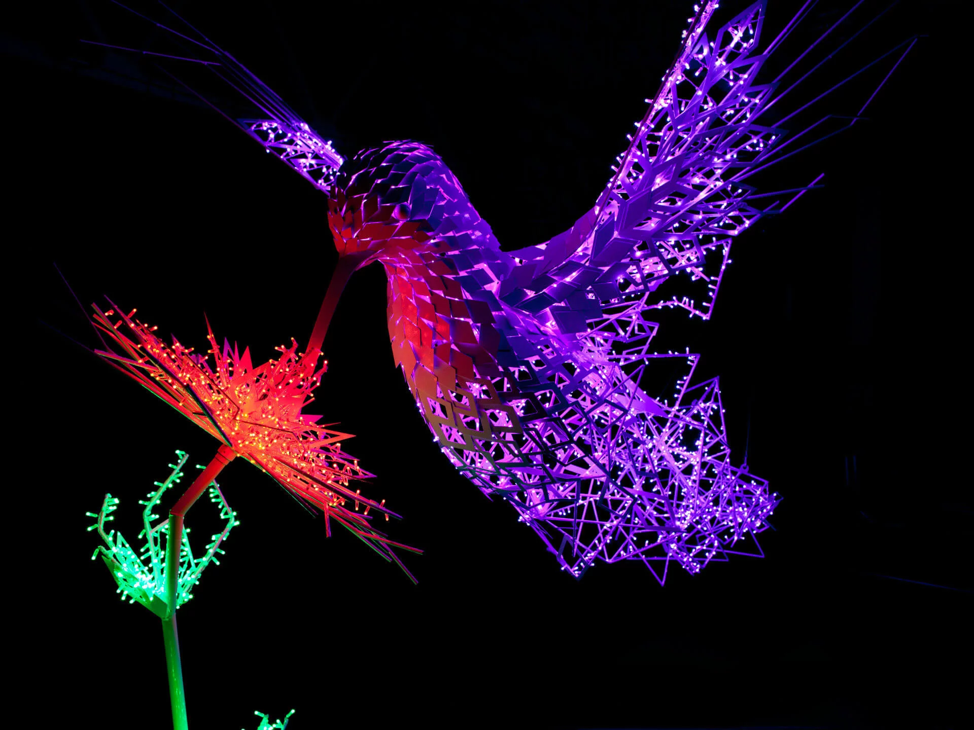 Animated Light